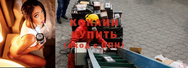 дживик Алзамай