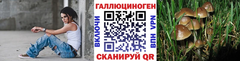 Галлюциногенные грибы Magic Shrooms  ОМГ ОМГ как войти  Красногорск 