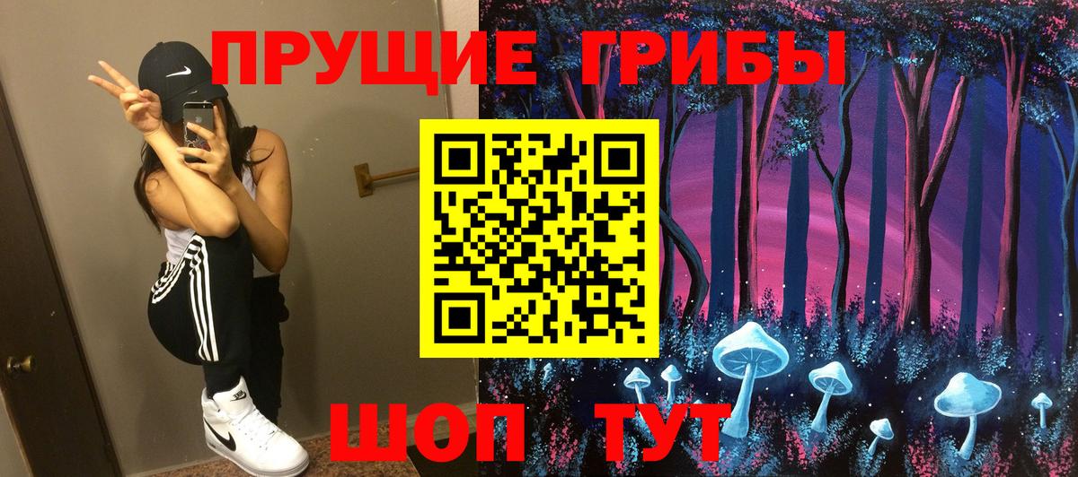 Галлюциногенные грибы Psilocybe Красногорск