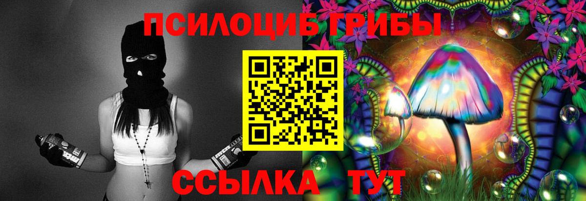 Красногорск  Псилоцибиновые грибы MAGIC MUSHROOMS  Вход с VPN 