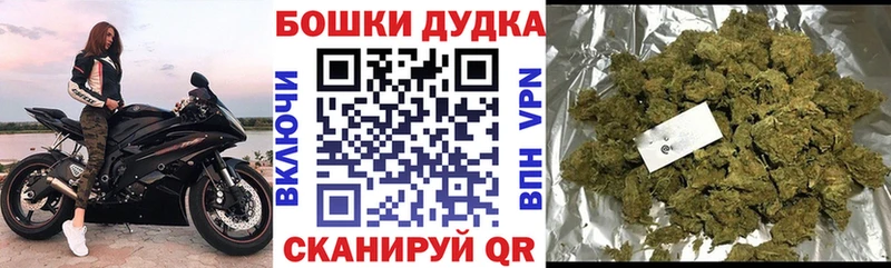 Конопля SATIVA & INDICA Красногорск